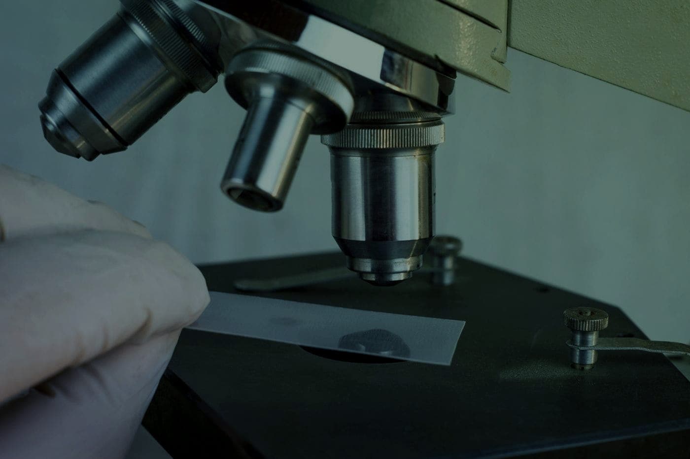 Close-up of microscope objective lenses above a sample slide