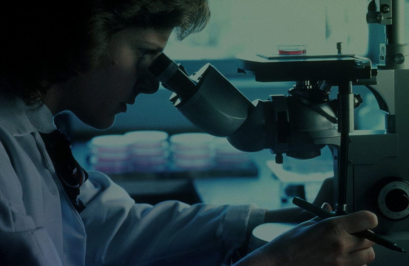 Researcher looking through a microscope with culture dishes in the background